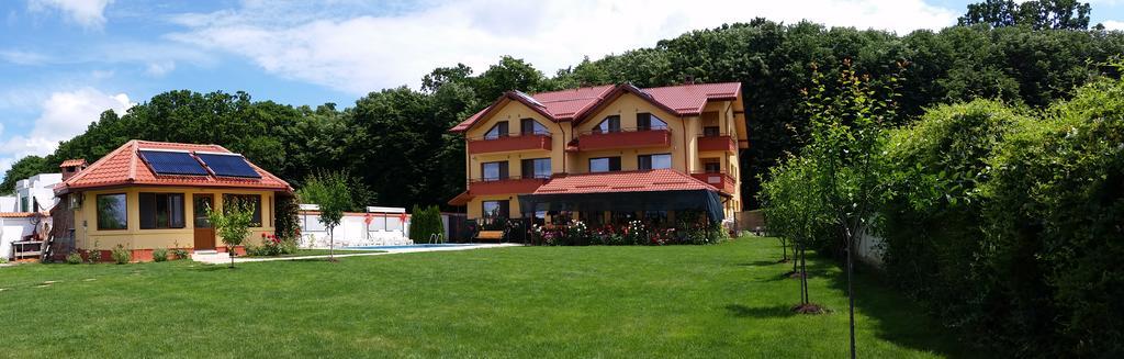 Vila Maria Snagov Hotel Exterior photo